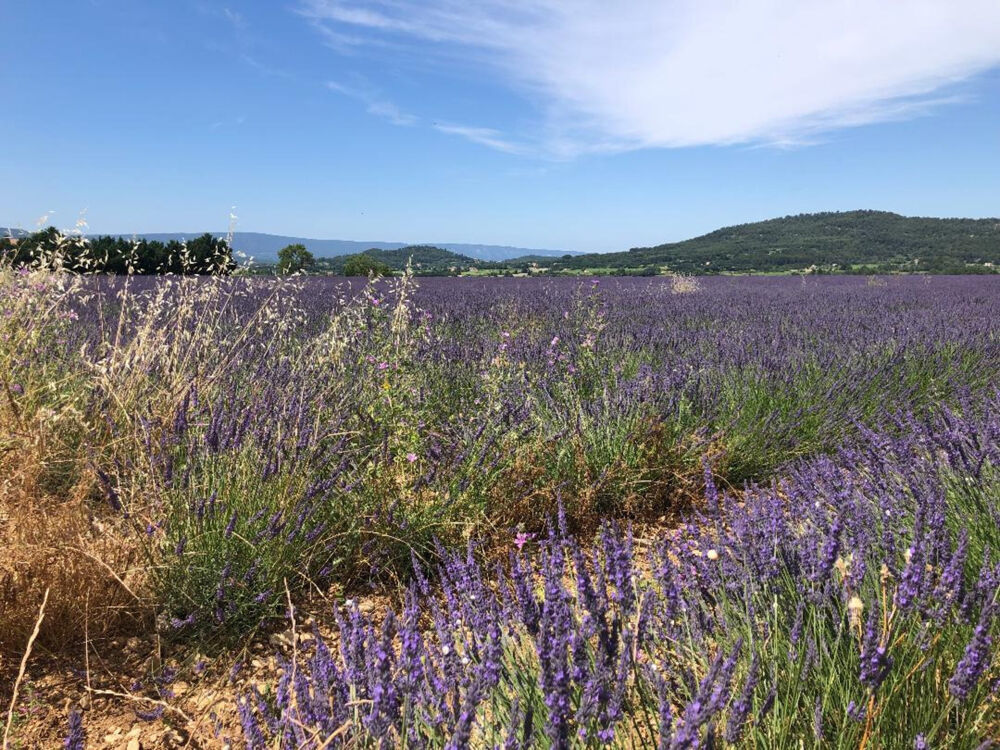 Vente Terrain Habiter face au Colorado Provençal, une réalité Rustrel