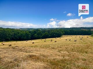  Maison � vendre 11 pi�ces 372 m�