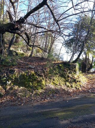  Terrain � vendre 6393 m�