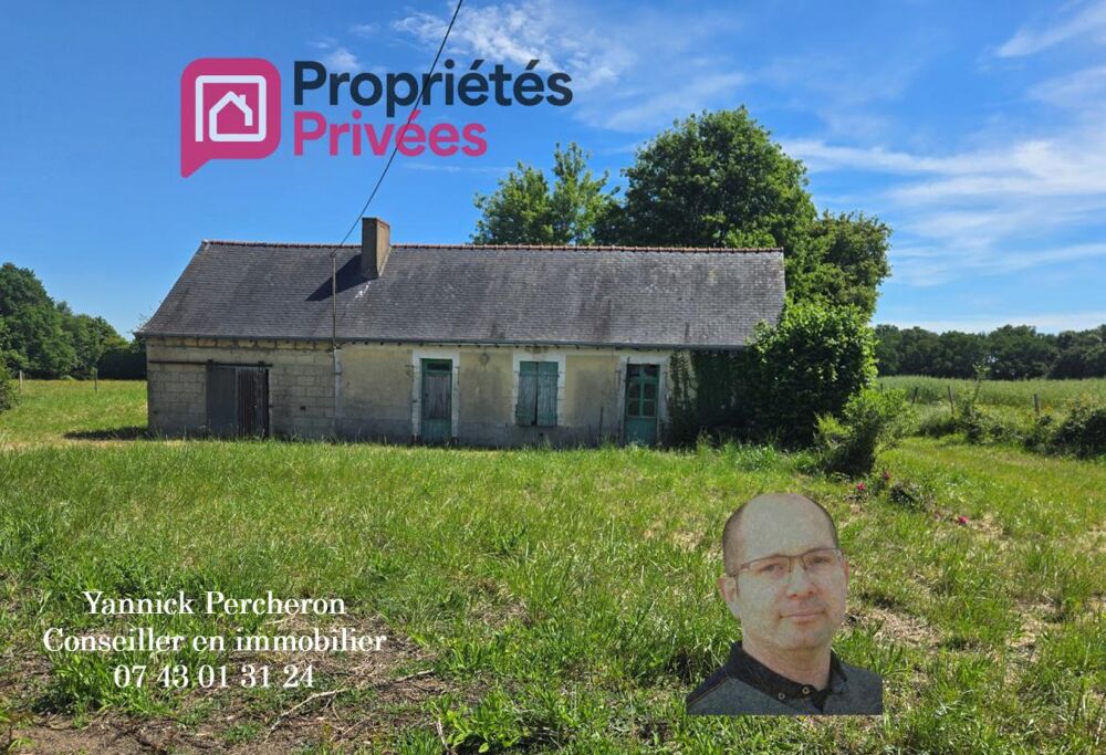 Vente Maison bâtisse en pierre ancienne à réhabiliter sur 4 000 m² de terrain Noyant villages