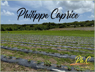  Terrain  vendre 2000 m