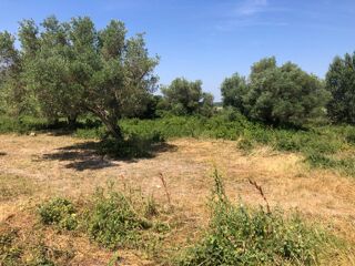  Terrain à vendre 6640 m²
