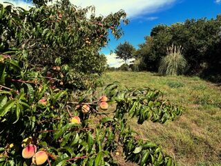  Terrain  vendre 8400 m