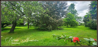  Maison � vendre 7 pi�ces 253 m�