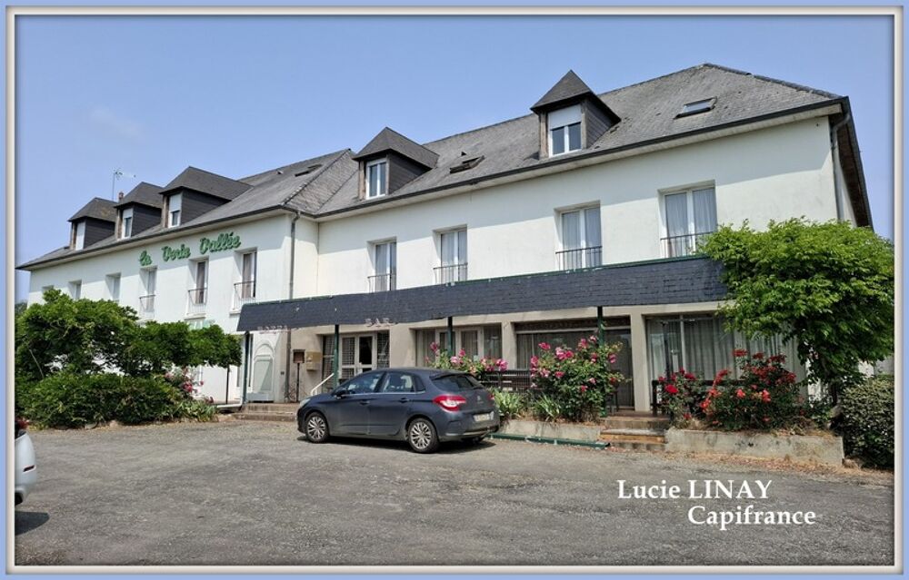 Vente Immeuble Ancien hôtel avec vue sur plan d'eau Saint denis du maine