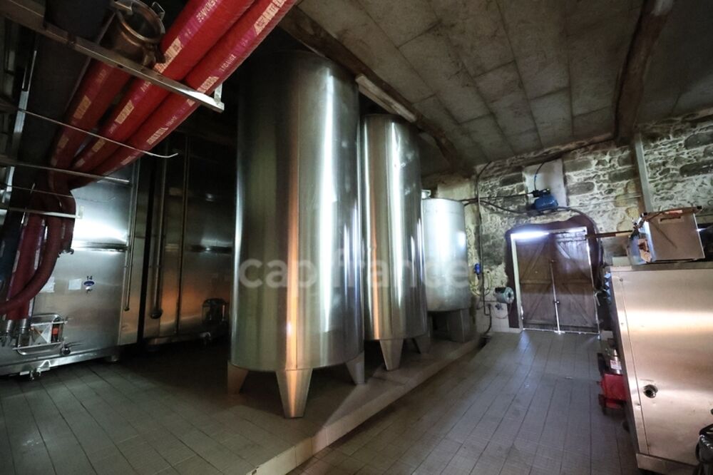   Société d'exploitation viticole – Médoc Cru Bourgeois AOC – Vin médaillé Saint yzans de medoc