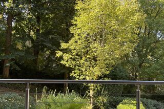  Appartement � vendre 4 pi�ces 93 m�