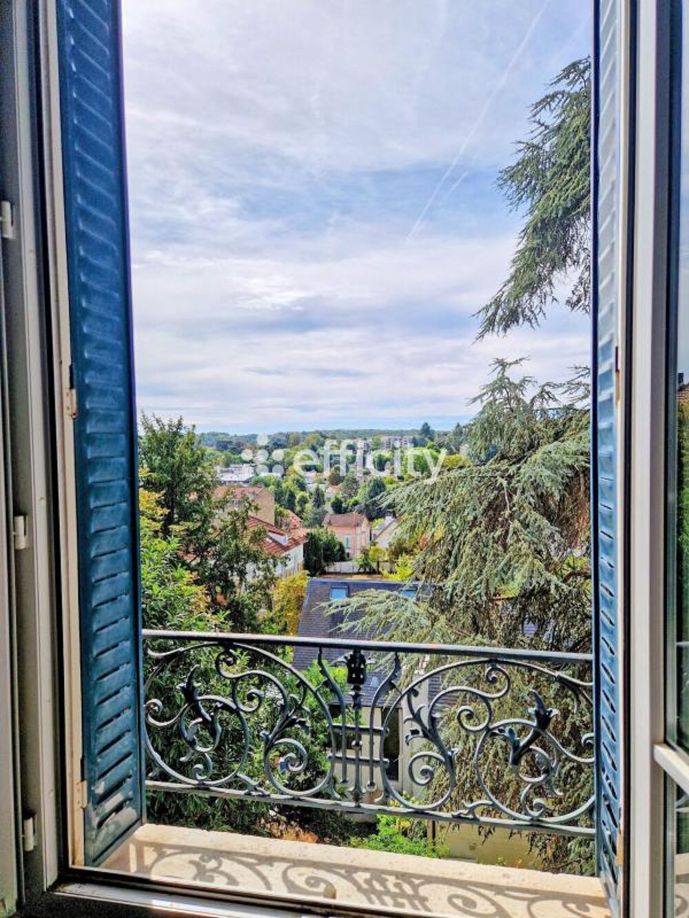 à vendre  Propriété/château Ville-d'Avray (92410)