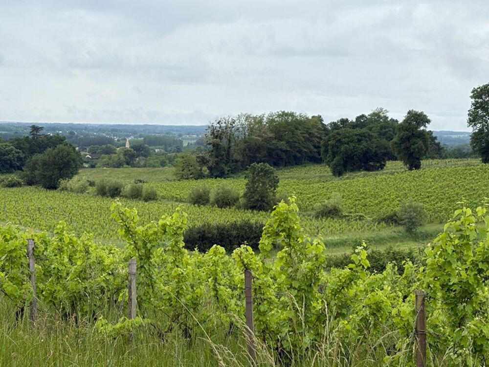 DOMAINE D'EXCEPTION SUR LES COTEAUX DE SAINTE CROIX DU MONT : UN FORT POTENTIEL ENTRE CIEL ET VIGNES