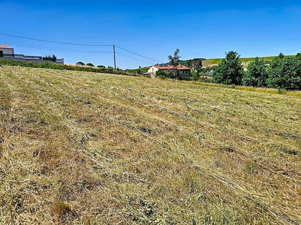 Vente Terrain Terrain constructible de 5 201 m² avec vue dégagée , Projet de division en 4 lots Limoux