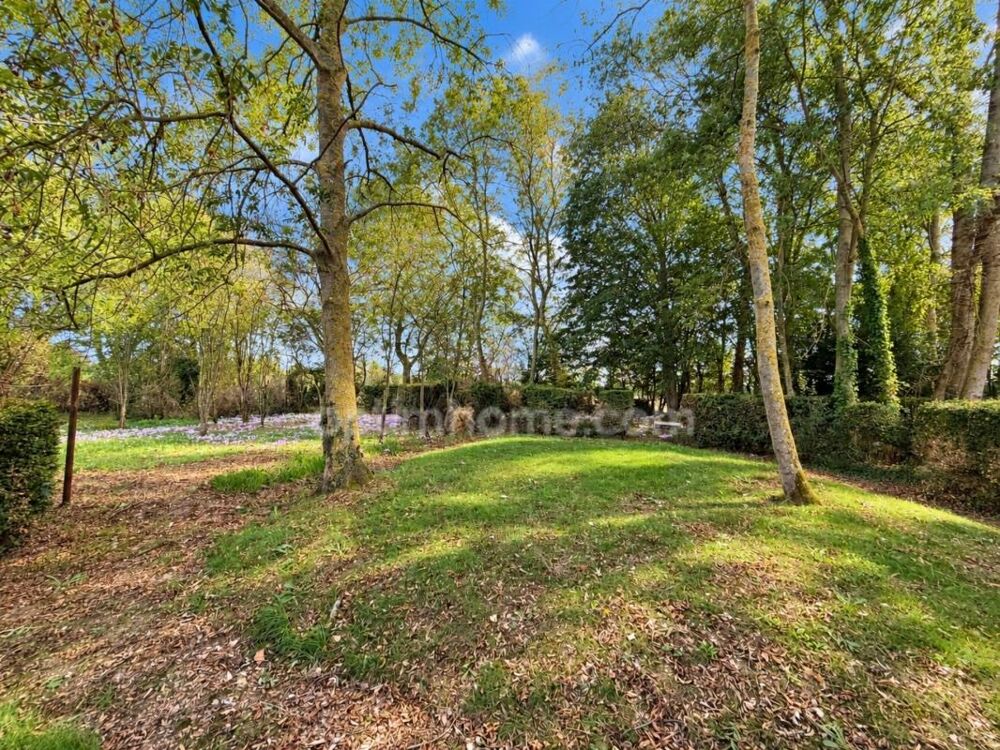 Vente Maison ÉLÉGANTE MAISON DE MAITRE AVEC TOIT MANSART, PARC ARBORÉ, VERGER ET DÉPENDANCES – PROCHE MÉZIDON-VALLÉE-D'AUGE Magny la campagne