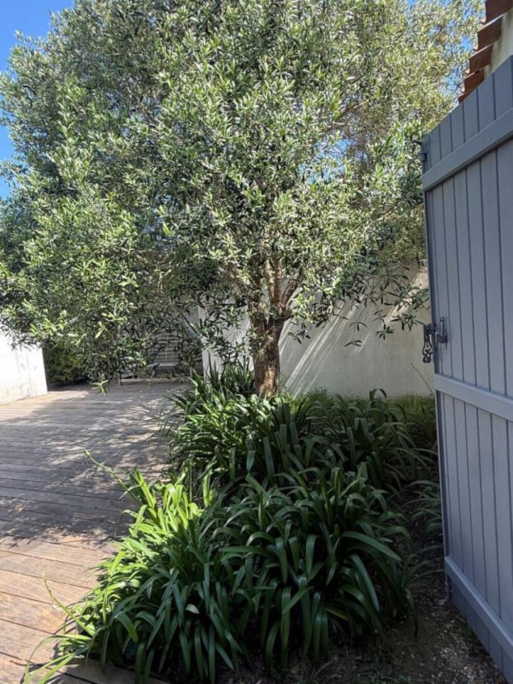 � vendre  Maison Noirmoutier-en-l'�le (85330)