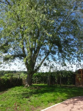  Maison � vendre 3 pi�ces 59 m�