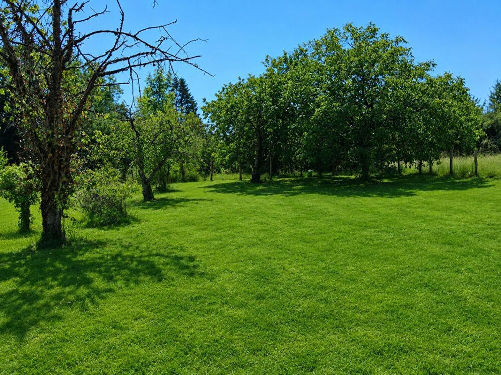 Vente Terrain Terrain Carisey 1100 m2 Carisey