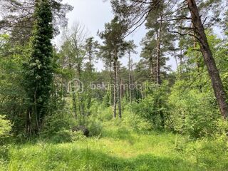  Terrain � vendre 72330 m�