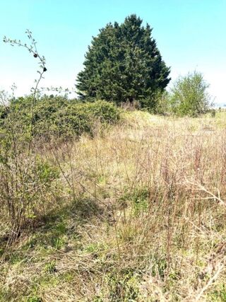  Terrain � vendre 503 m�