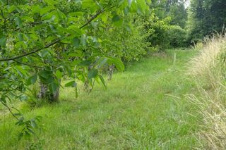  Terrain  vendre 1197 m