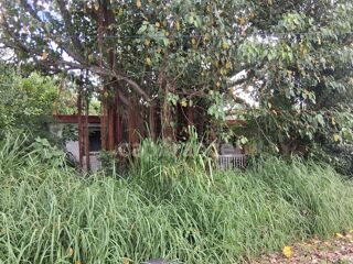  Terrain � vendre 800 m�