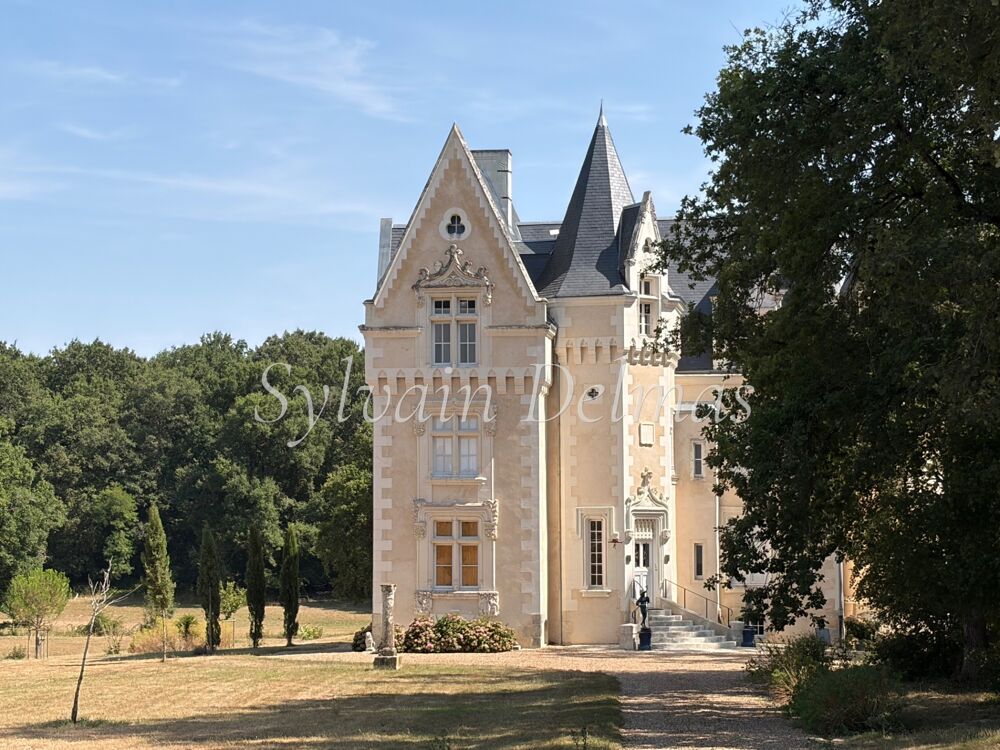 à vendre  Propriété/château Loches (37600)