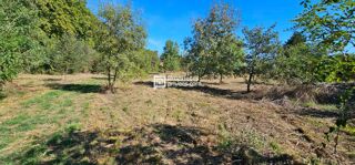  Terrain à vendre 29154 m²