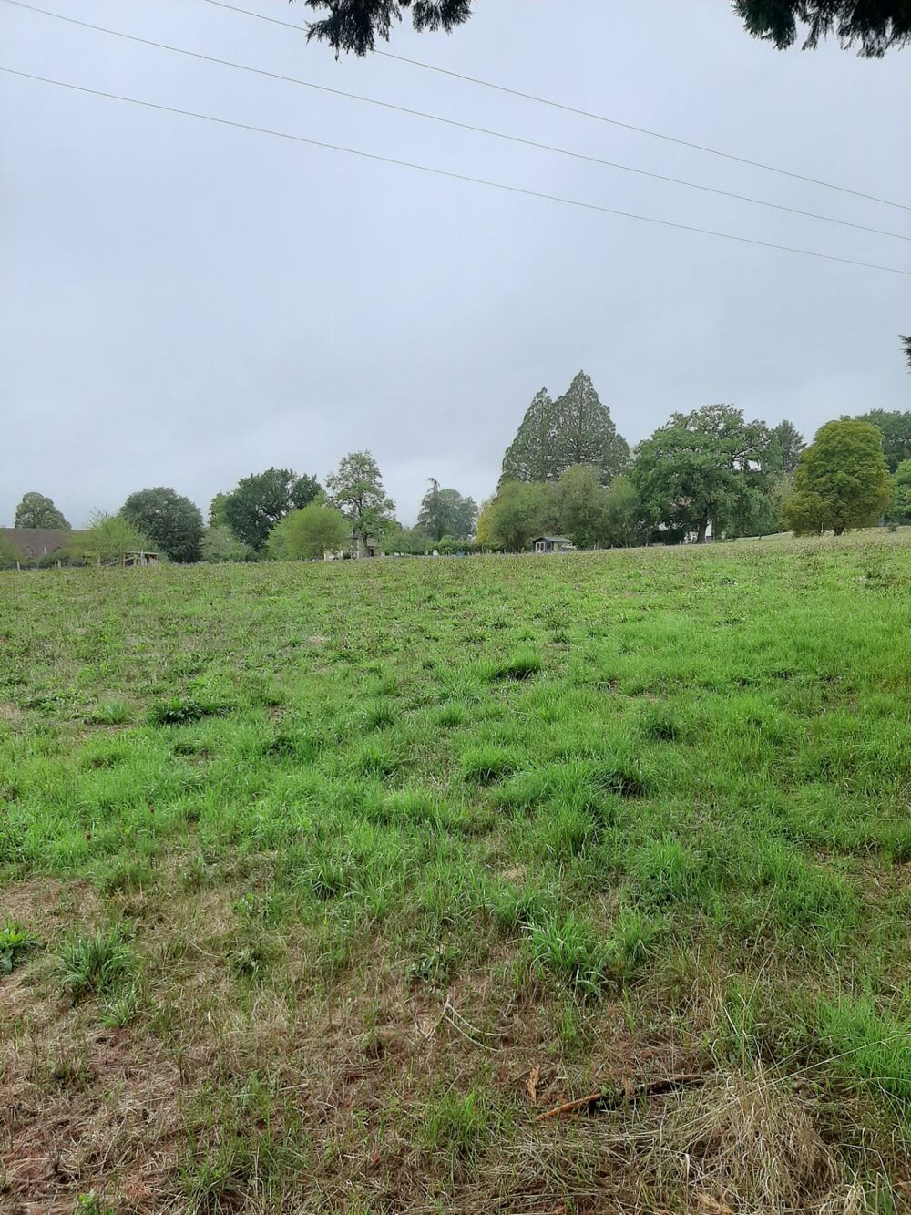 Vente Terrain Terrain à vendre de 1 267,00 m² SAINT PRIEST LIGOURE (87) Saint priest ligoure