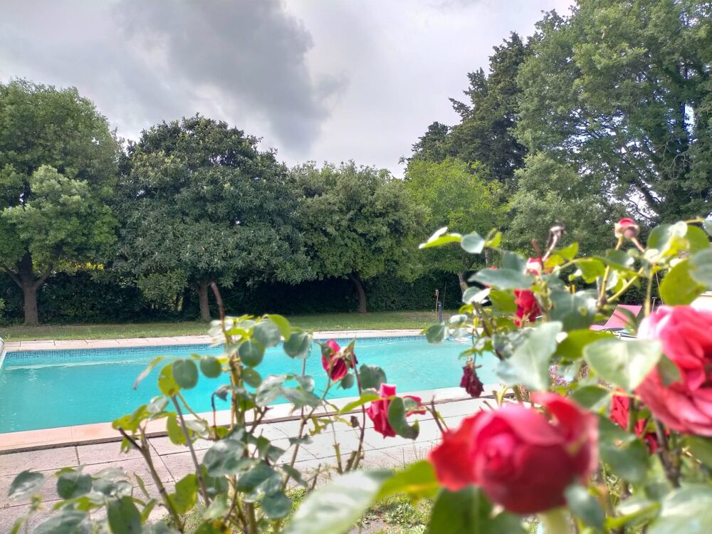 Vente Maison Maison de caractère 6 pièces – 4 chambres – piscine 10×5 sur 1 800 m² arborés et clos Richerenches
