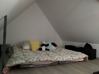  Appartement à louer 1 pièce 35 m²