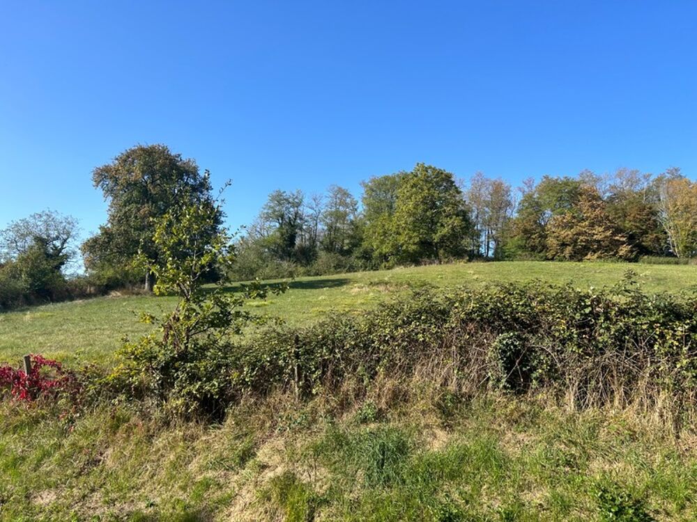 Vente Terrain Prairie non constructible Vendat
