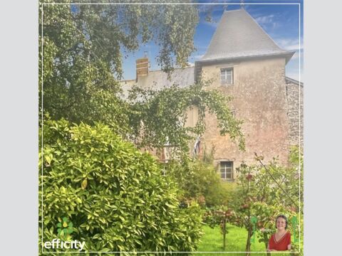   Maison de ma�tre Propri�t�/ch�teau - 8 pi�ce(s) - 300 m�