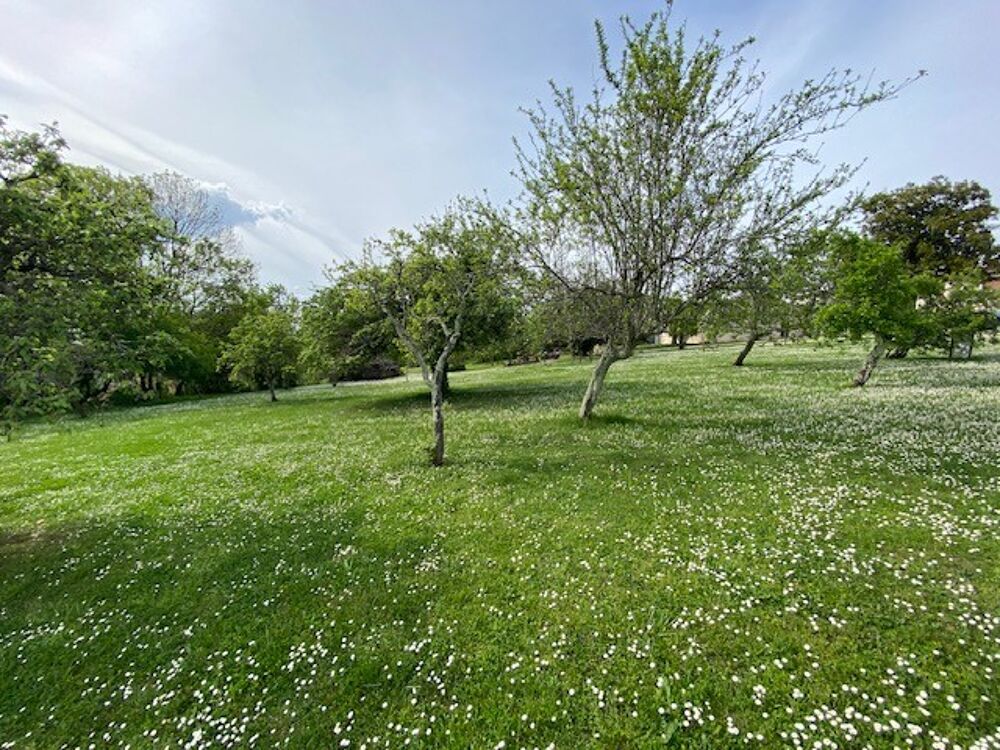 Vente Terrain SAINT SELVE Saint selve