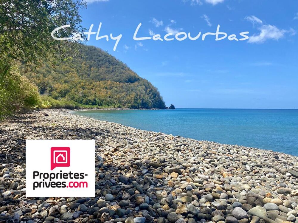 Vente Terrain Terrain viabilisé 10000 m2 constructible accès littoral- Pointe Noire -Guadeloupe Pointe noire