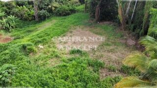  Terrain à vendre 2500 m²