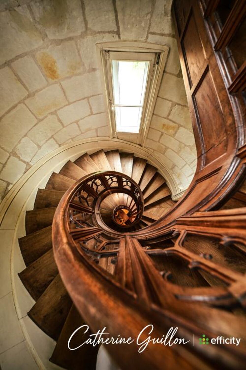 à vendre  Propriété/château Ingrandes (86220)