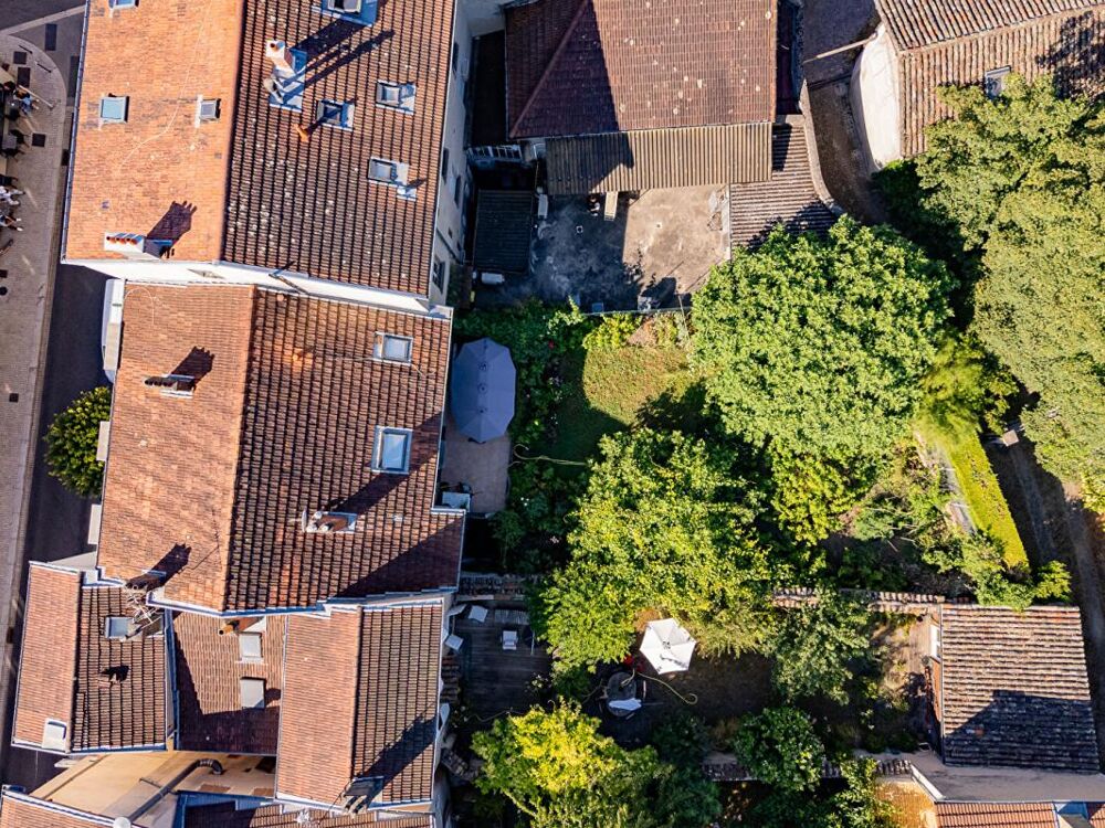 Vente Immeuble Immeuble - Hôtel particulier + Local commercial à Caluire et Cuire Caluire et cuire