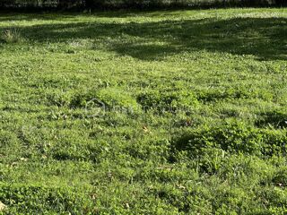  Terrain � vendre 975 m�