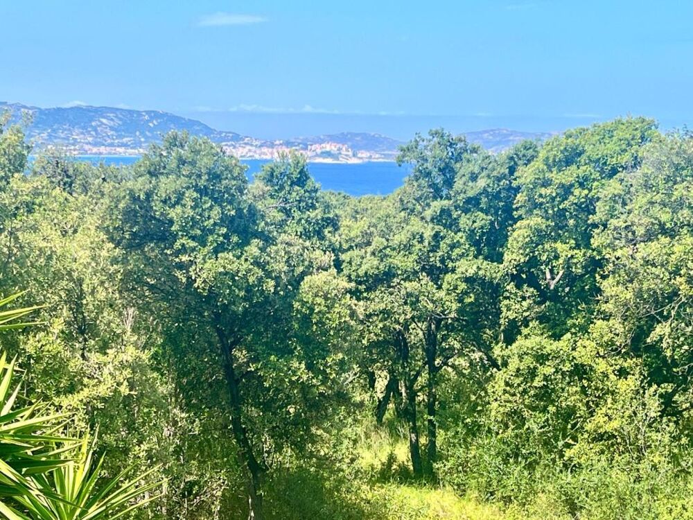 Appartement T4 vue mer à Lumio