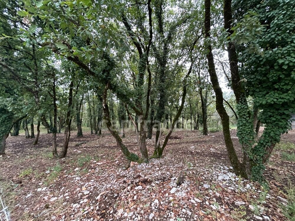 Vente Terrain Terrain à vendre  16300m² SAINT PANTALY D'EXCIDEUIL (24) Saint pantaly d excideuil