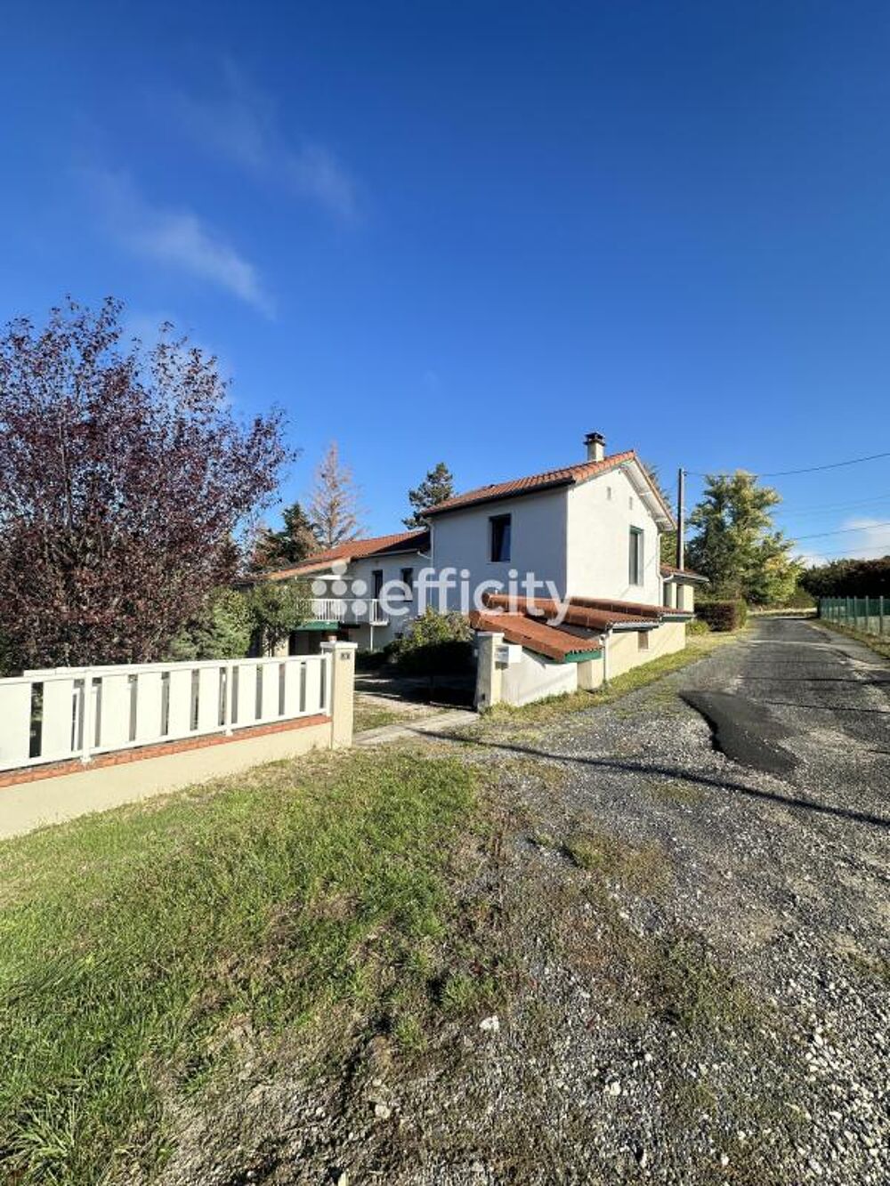 Vente Ferme Ferme Bas en basset