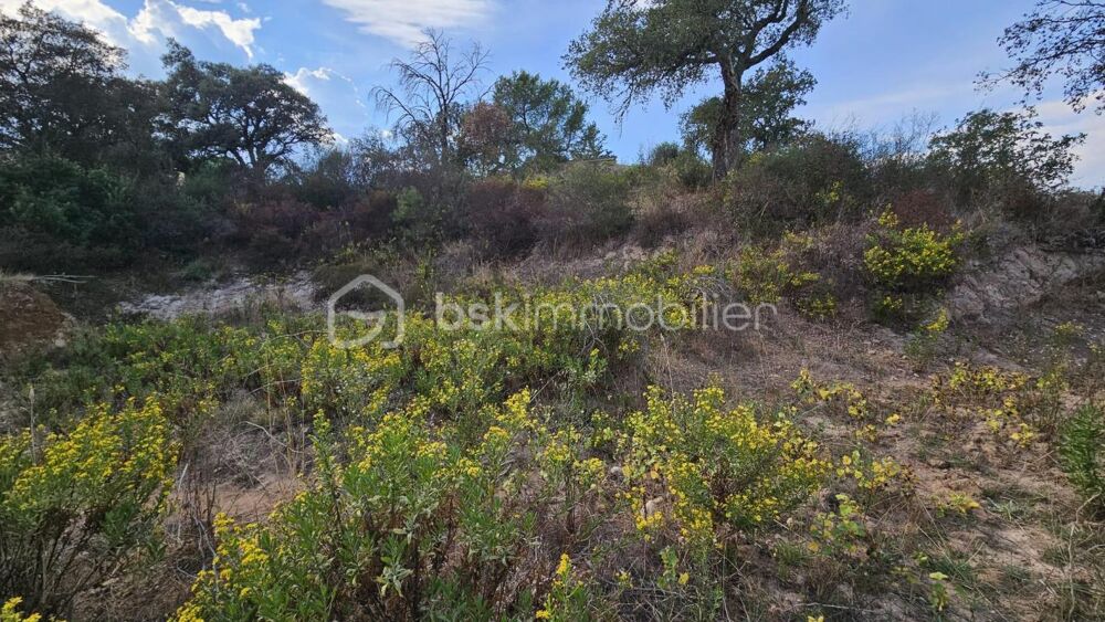 Vente Terrain Terrain constructible sur les hauteurs de Vidauban – 1 650 m² Vidauban