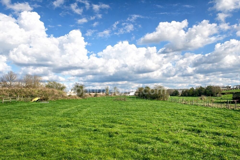 Vente Terrain Terrain à bâtir de 1787,00 m² COUPELLE-NEUVE (62) Coupelle neuve