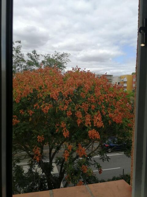  Appartement � louer 1 pi�ce 23 m�