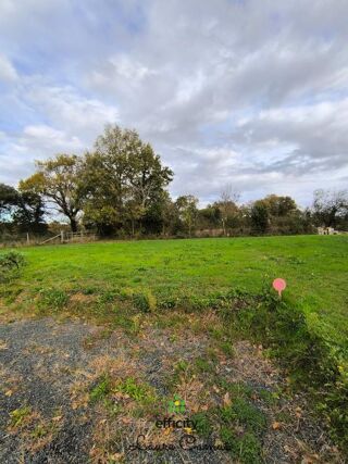  Terrain à vendre 443 m²