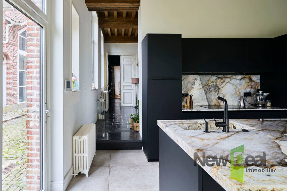 � vendre  Propri�t�/ch�teau Saint-Amand-les-Eaux (59230)