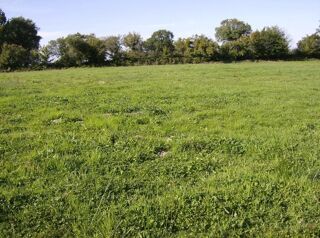  Terrain  vendre 10000 m