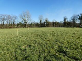 Vente Terrain 10000 m²