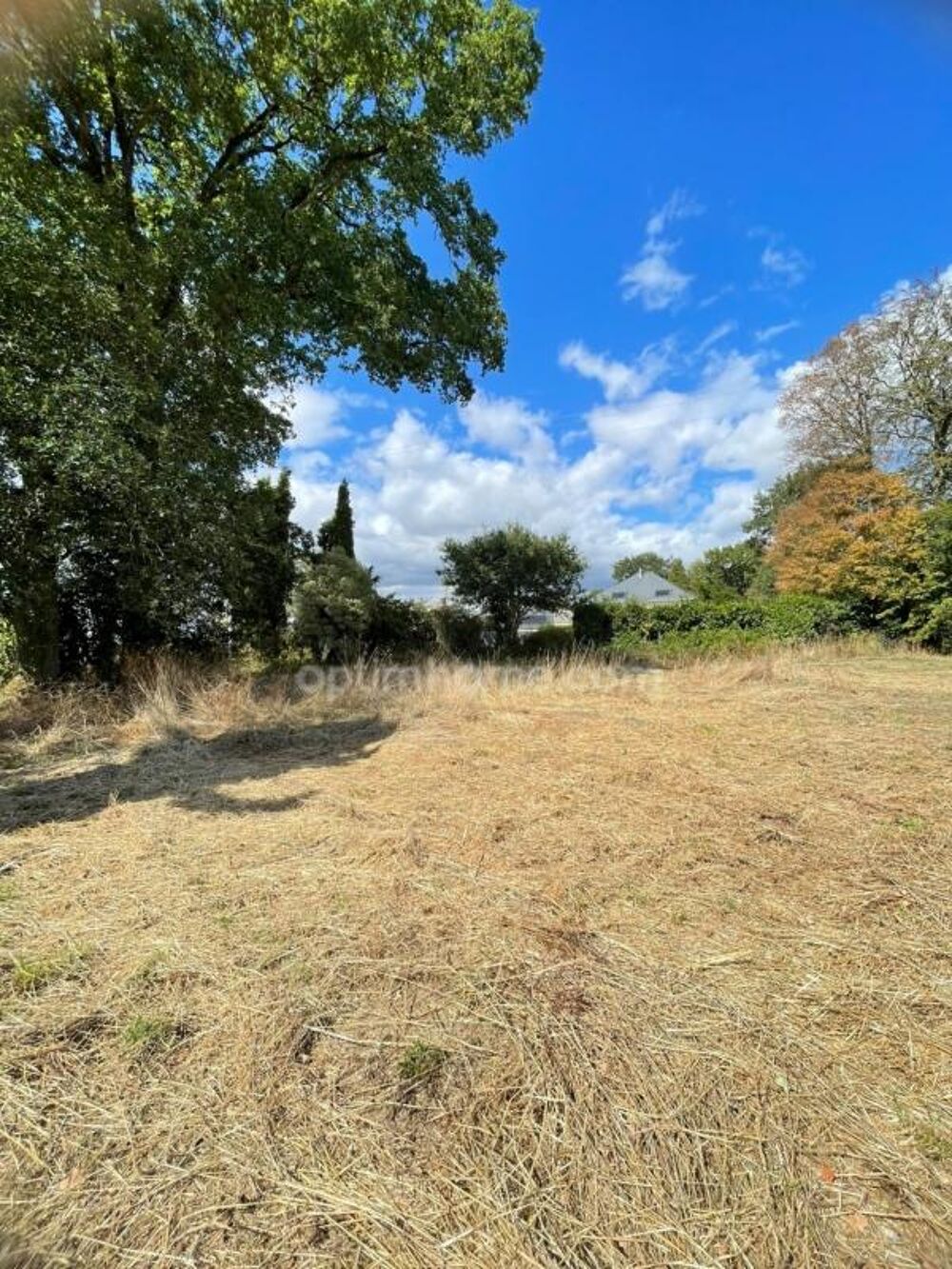 Vente Terrain Belle opportunité ! Terrain de 1 606 m² avec large façade PLOERMEL (56) Ploermel
