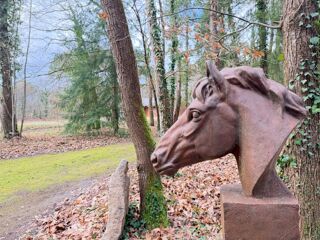  Propri�t�/ch�teau � vendre 12 pi�ces 303 m�