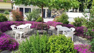  Appartement � louer 1 pi�ce 12 m�