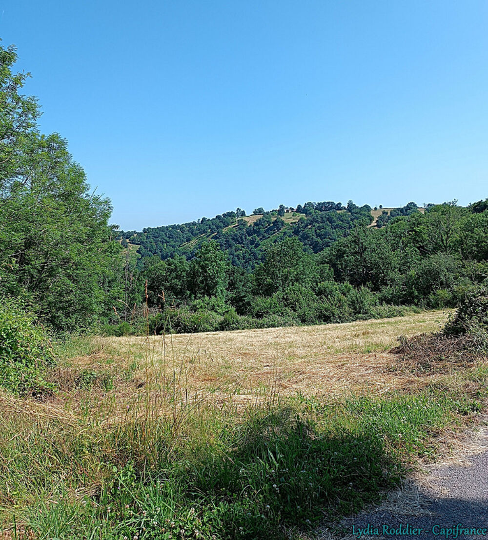 Vente Terrain Terrain 4580m2 SAUVIAT-63120 secteur très calme et naturel Sauviat