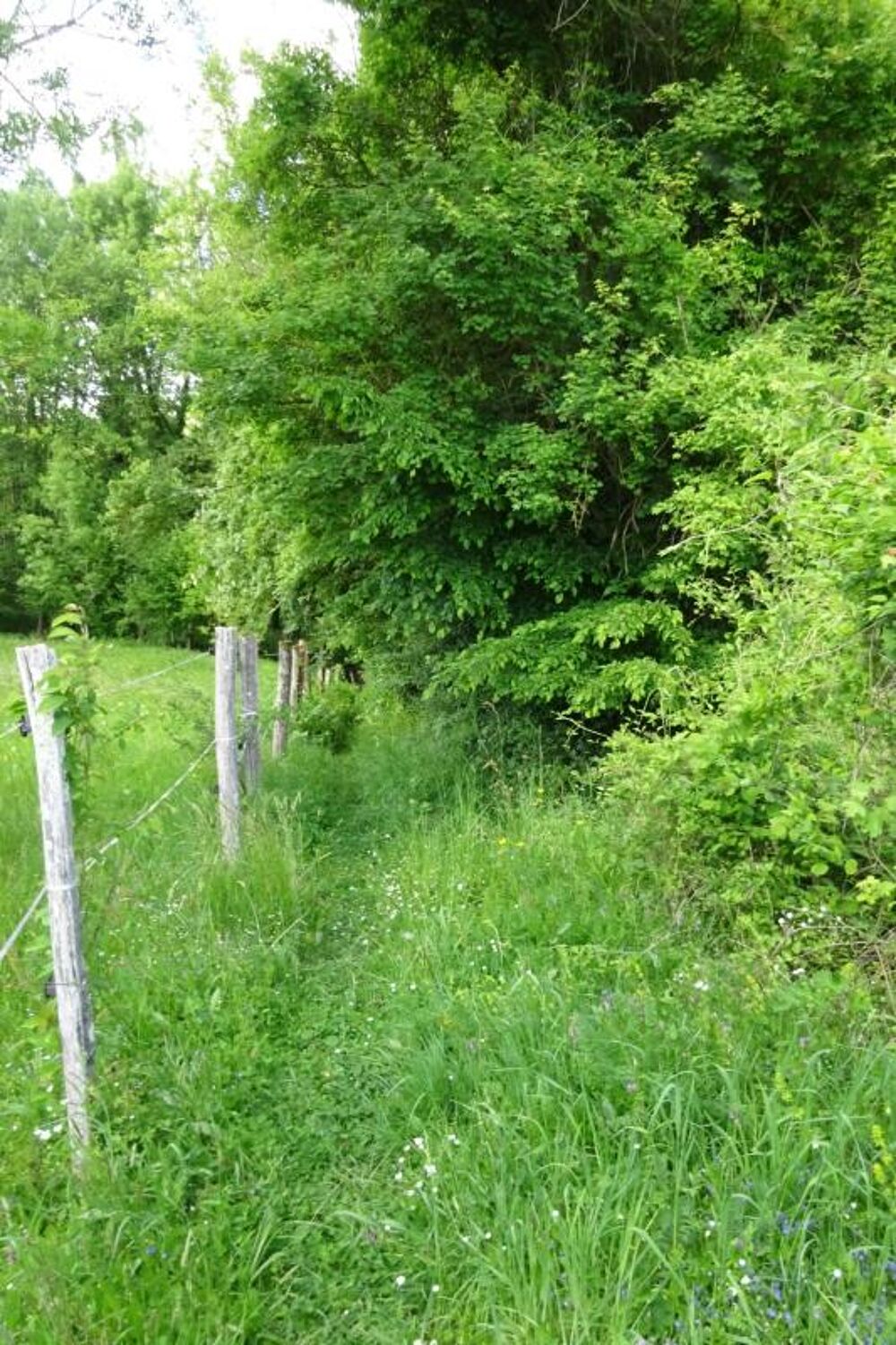 Vente Terrain Terrain à vendre de 625,00 m² Proche de COURTEMAUX (45) Courtemaux